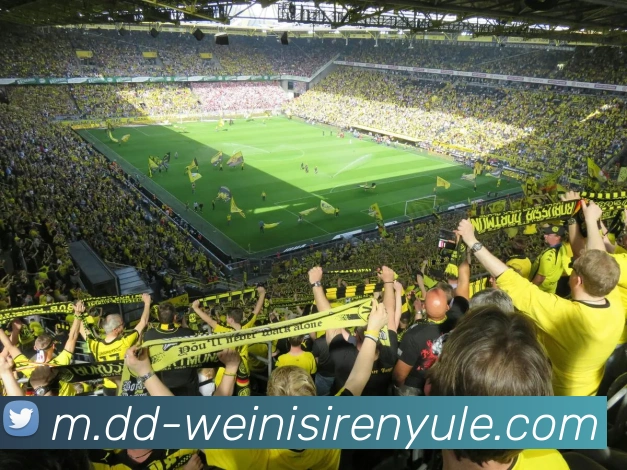 威尼斯人官网平台生态图